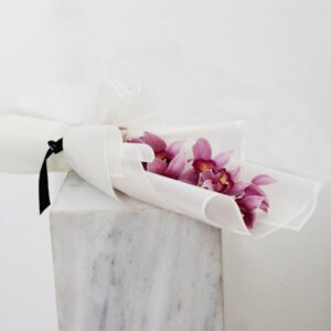 Orchidaceae : Cymbidium Pink