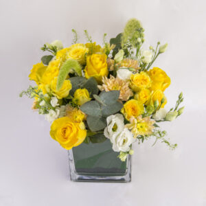 Zestful Blooms | أزهار زهيدة